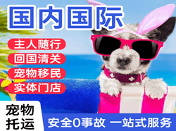双流航空货运国际宠物托运 【国